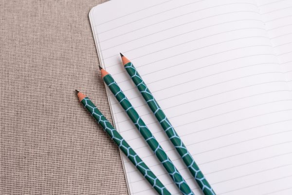 Three green pencils with a dinosaur skin design on top of a notebook