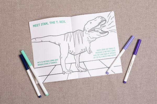 Meet Stan The T-Rex is written on a drawing of a t-rex waiting to be coloured in, it's surrounded by facts about Stan.