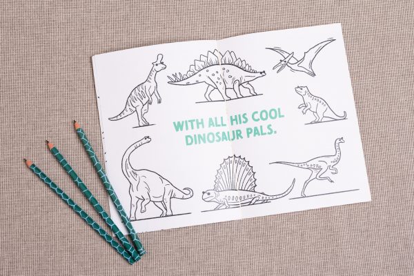 A page in the colouring book showing lots of different dinosaurs waiting to be coloured in