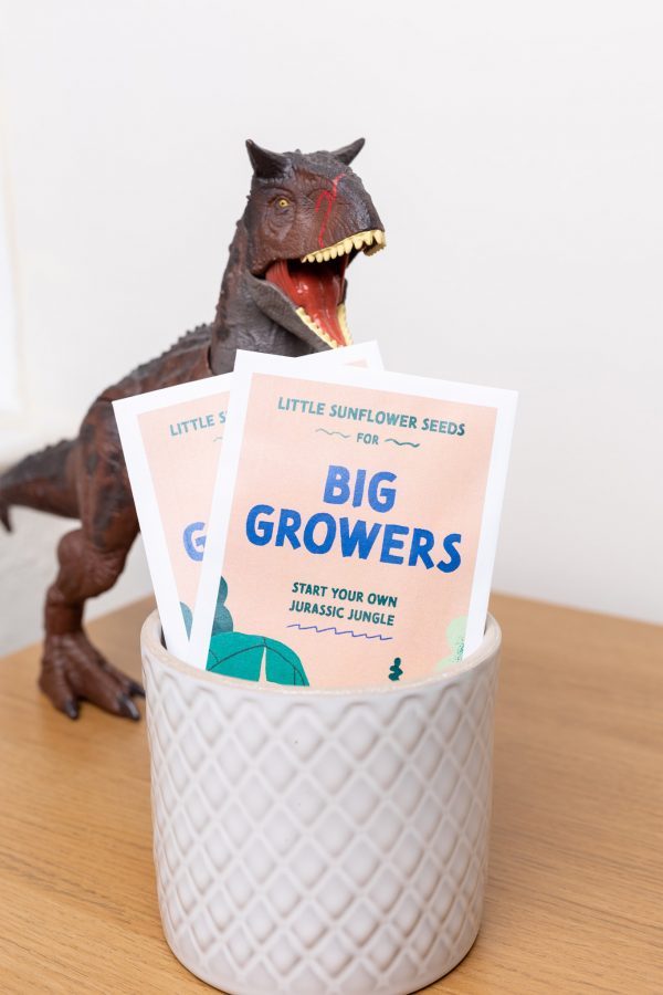 Seed packets that read little sunflower seeds for big growers, start your own jurassic jungle. They're displayed in a plant pot with a dinosaur toy behind them.